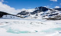 route touristique du sognefjellet 